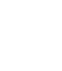 Icon Speed