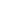 Icon Safety