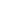 Icon Simplicity