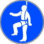 00488062.jpg