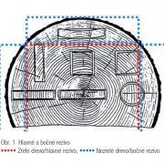 Obr. 1: Hlavné a bočné rezivo 
<br />
Červená oblasť: Zrelé drevo / hlavné rezivo
<br />
Modrá oblasť: Nezrelé drevo / bočné rezivo 
<br />
