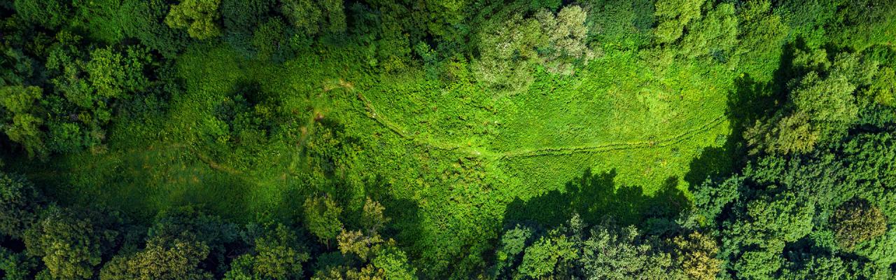 Driving greater transparency for more sustainable construction 