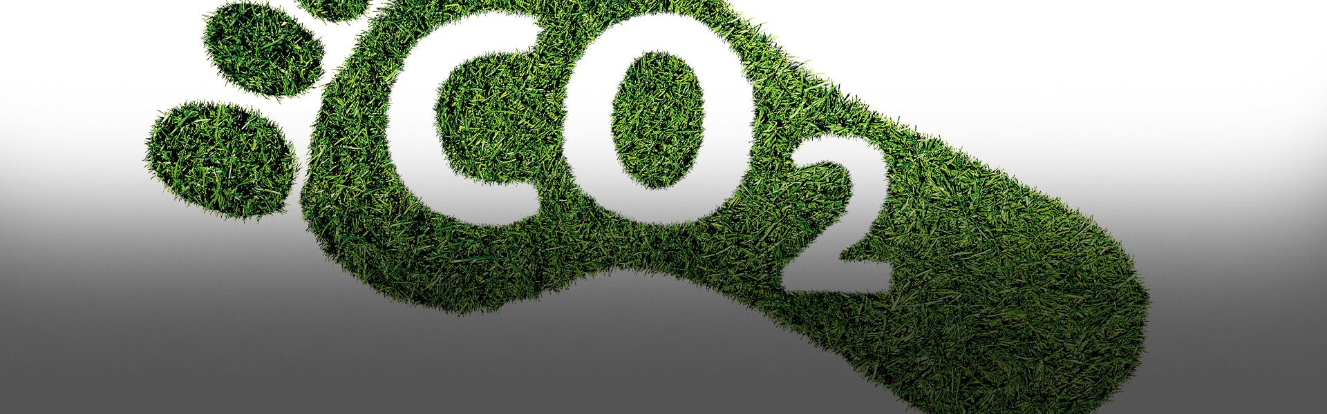 Keeping an eye on the Corporate Carbon Footprint - Doka